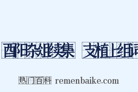 酉阳杂俎续集·支植上组词是什么意思的图片